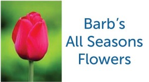 Barbs All Season Flowers